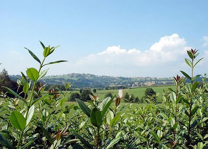 Appartement In Piedmont Vorderschmiding